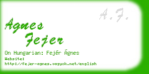 agnes fejer business card